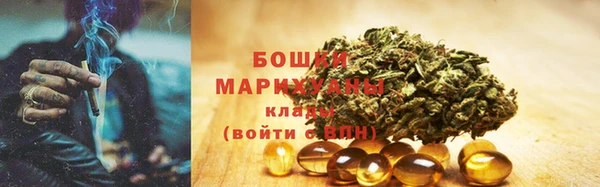 прущие грибы Аркадак