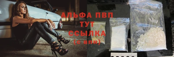 молекула духа Арсеньев