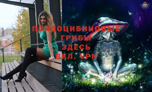 прущие грибы Аркадак