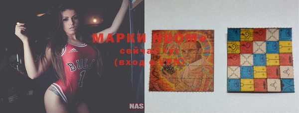молекула духа Арсеньев