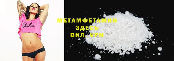 прущие грибы Аркадак