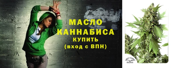 молекула духа Арсеньев