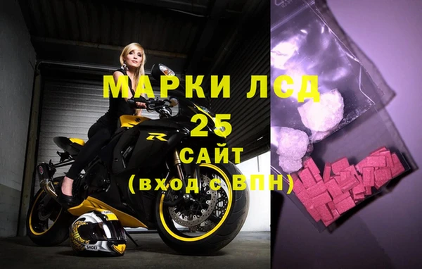 прущие грибы Аркадак