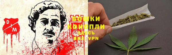 шишки Армянск