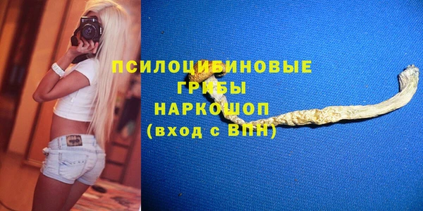 молекула духа Арсеньев