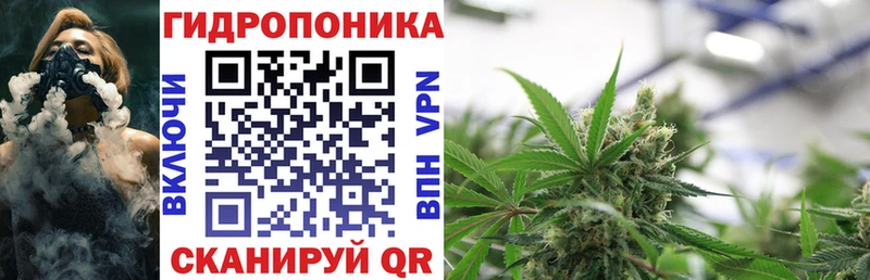 МЕГА как войти дарнет шоп Тобольск Каннабис план